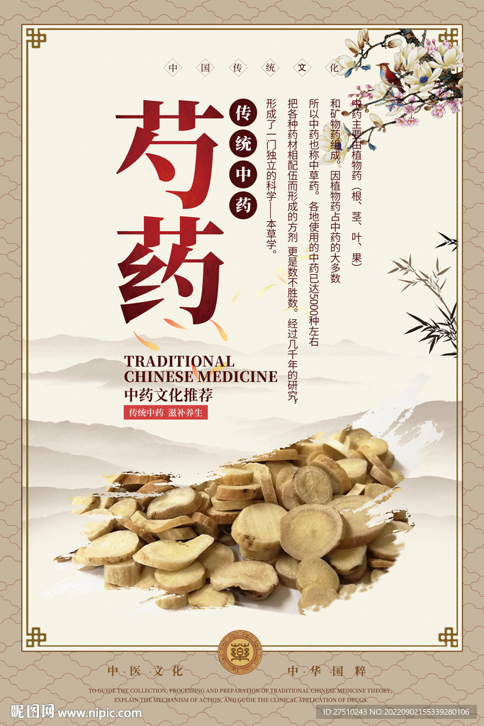 芍药中药海报