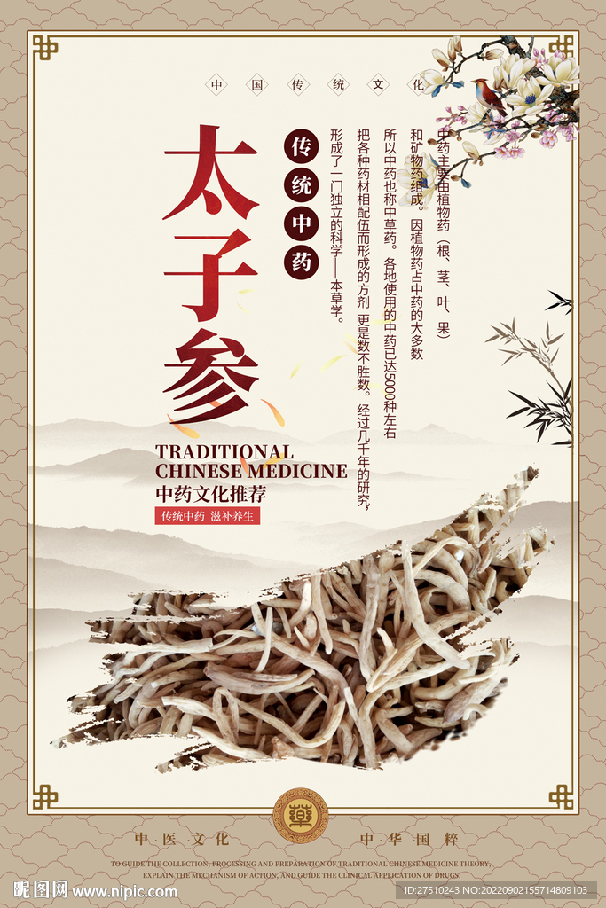 太子参中药海报