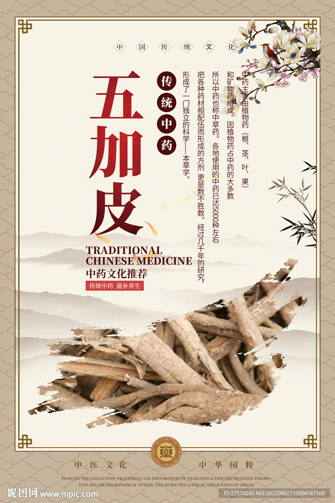 五加皮中药海报