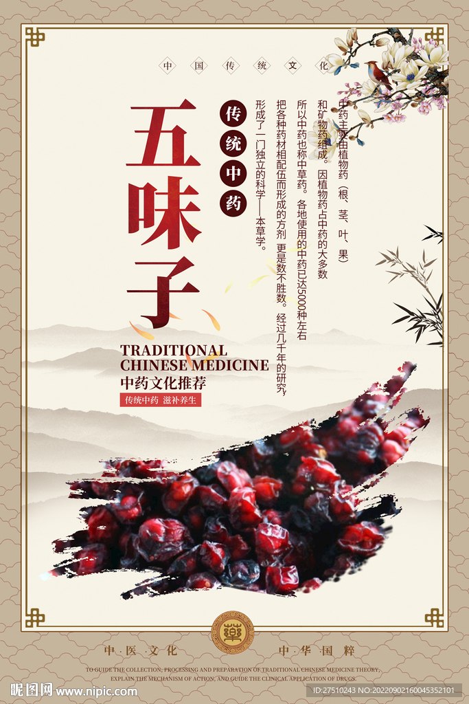 五味子中药海报