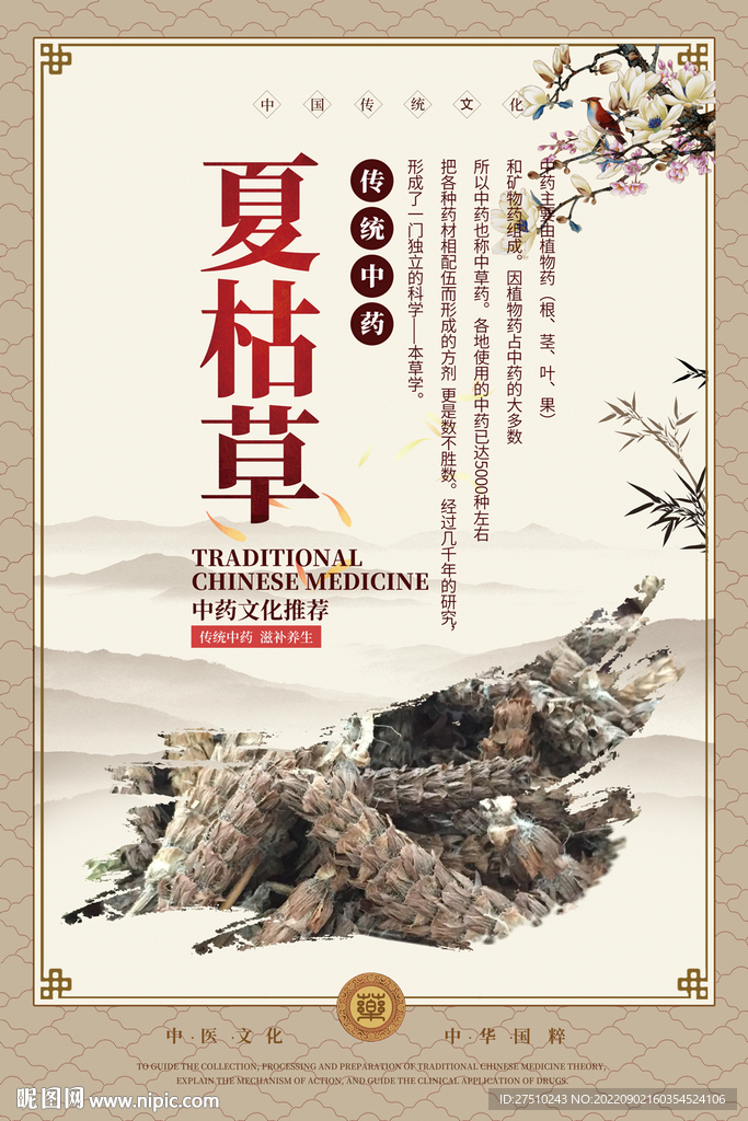 夏枯草中药海报