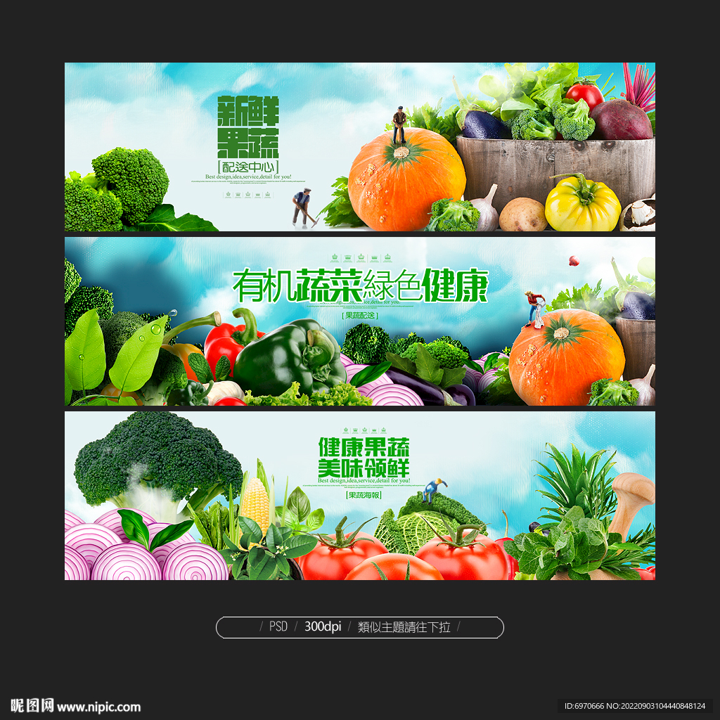 蔬菜海报