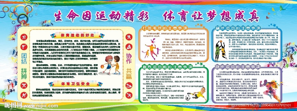 体育运动科普展板