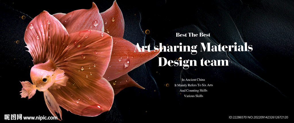 五彩鱼系列海报