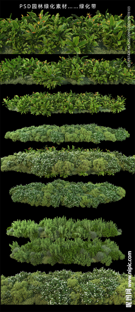 园林绿化带植物