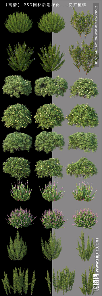后期绿化带素材