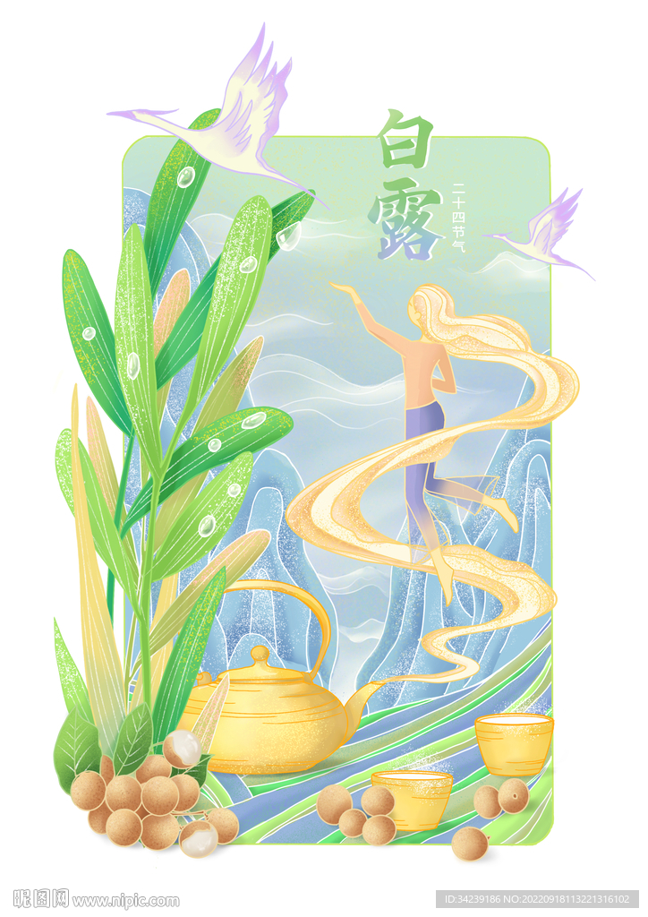 二十四节气 白露 插画 