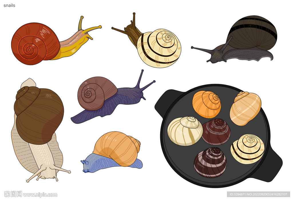蜗牛矢量素材