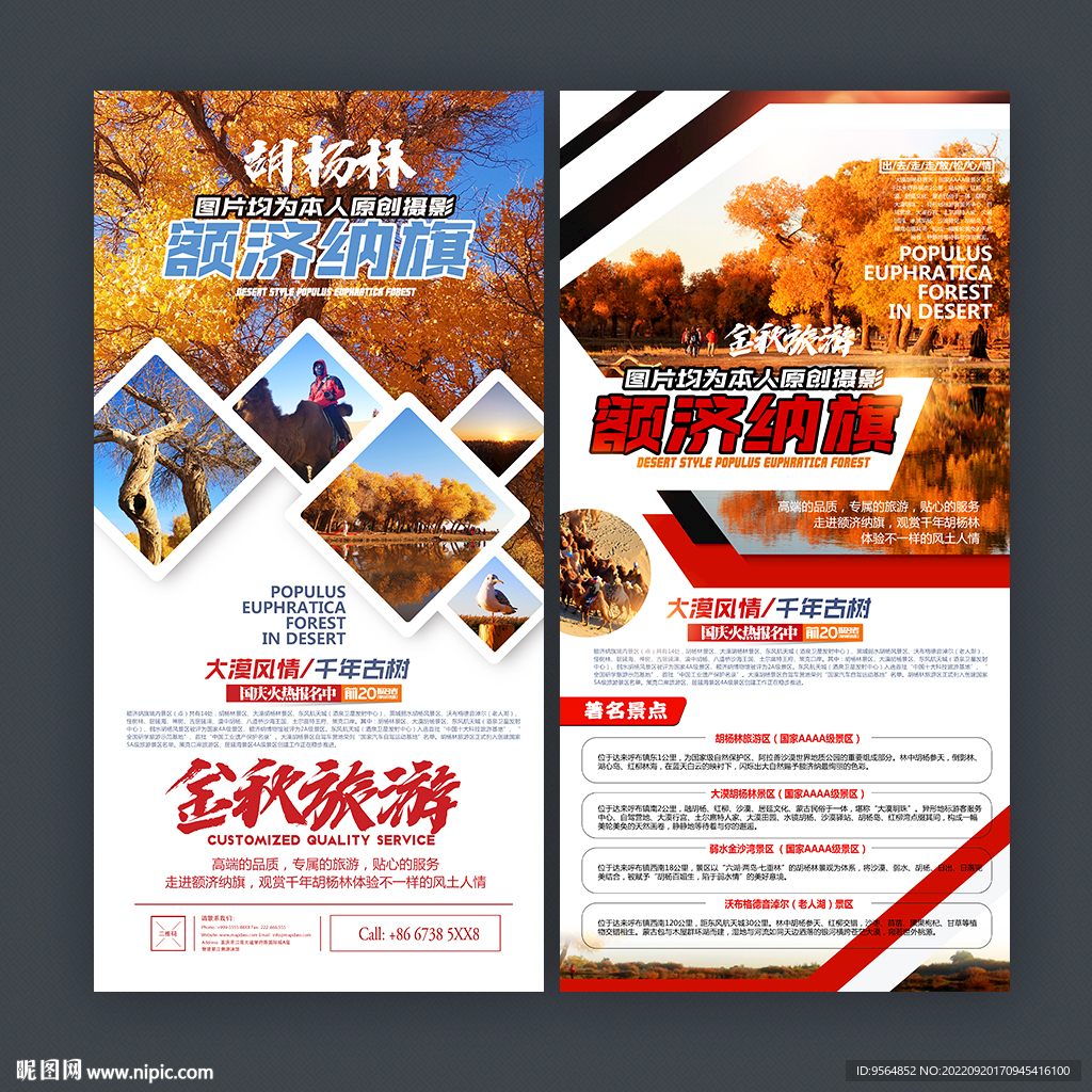 额济纳旗胡杨林