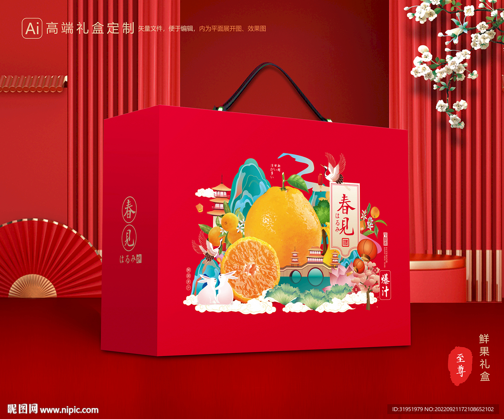 耙耙柑包装 水果礼盒