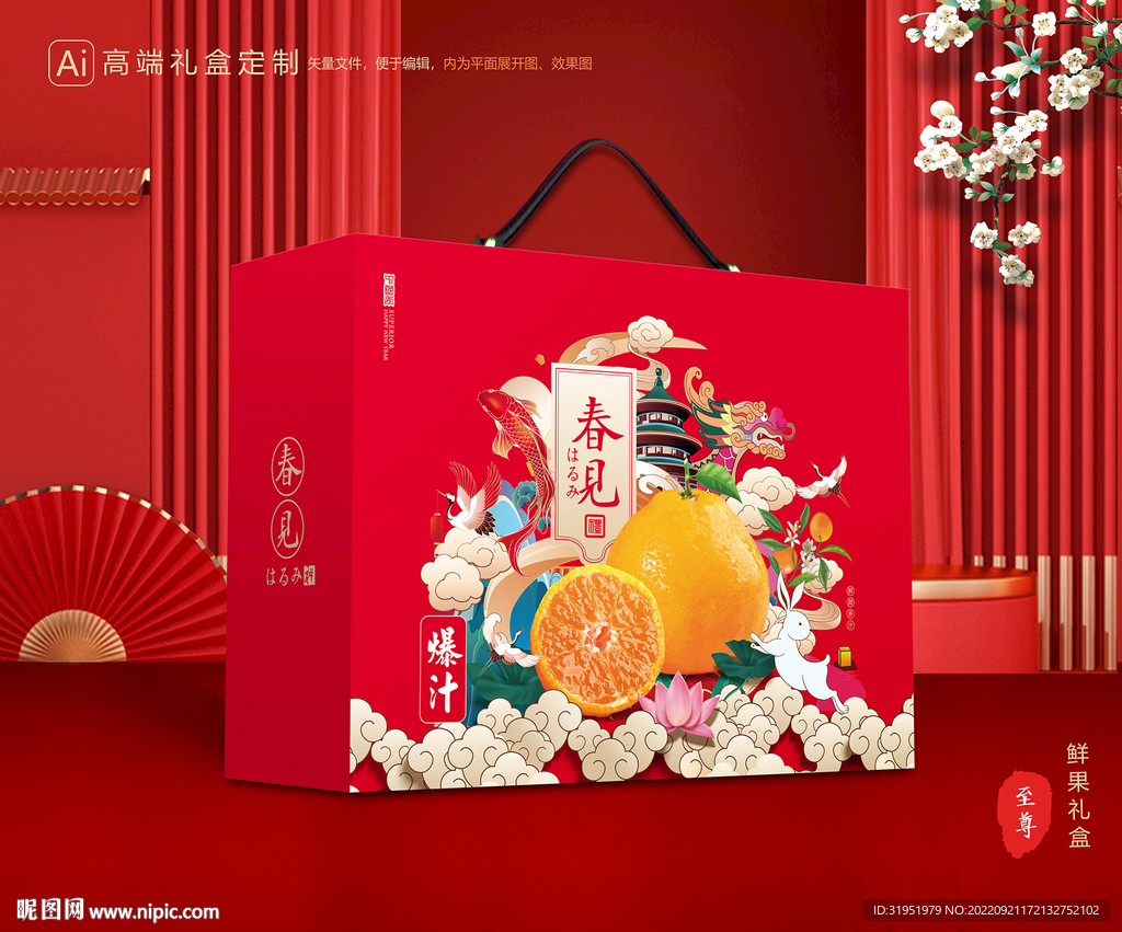 耙耙柑包装 水果礼盒