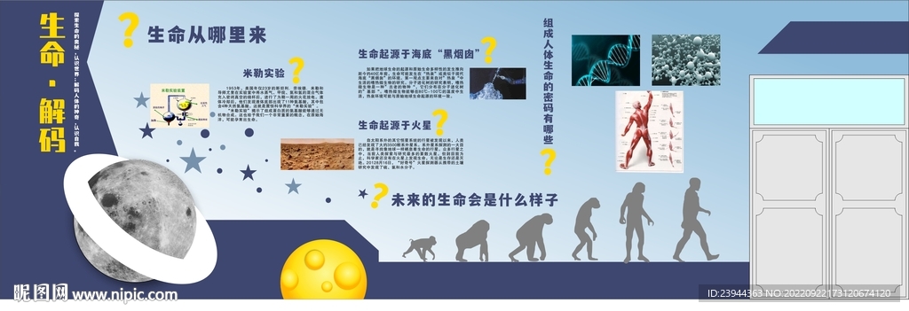 生命的起源文化墙