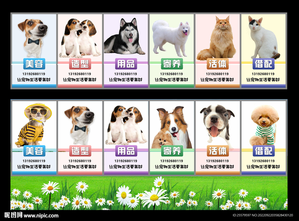 宠物挂图狗狗装饰画