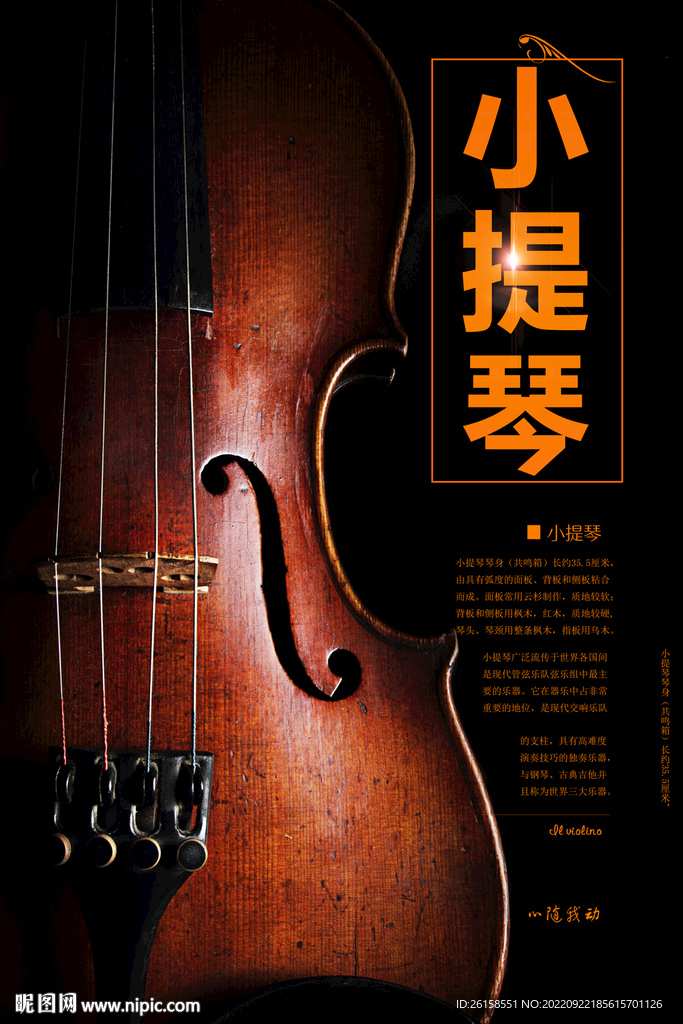 小提琴