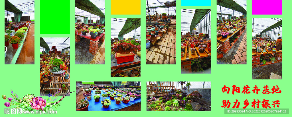 花卉基地