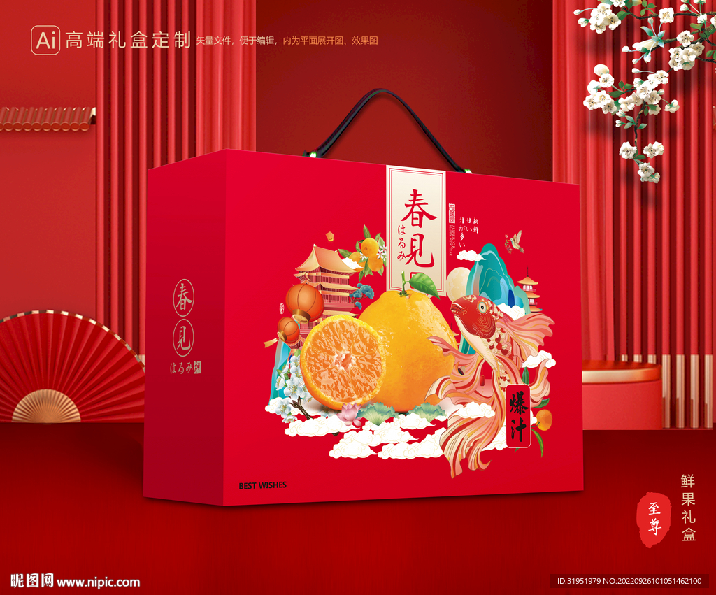 耙耙柑包装 水果礼盒