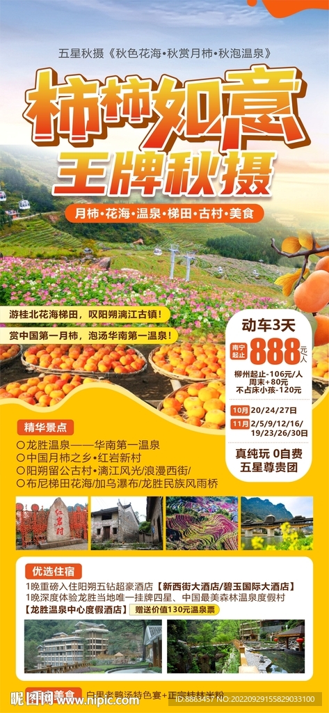 柿柿如意月柿海报