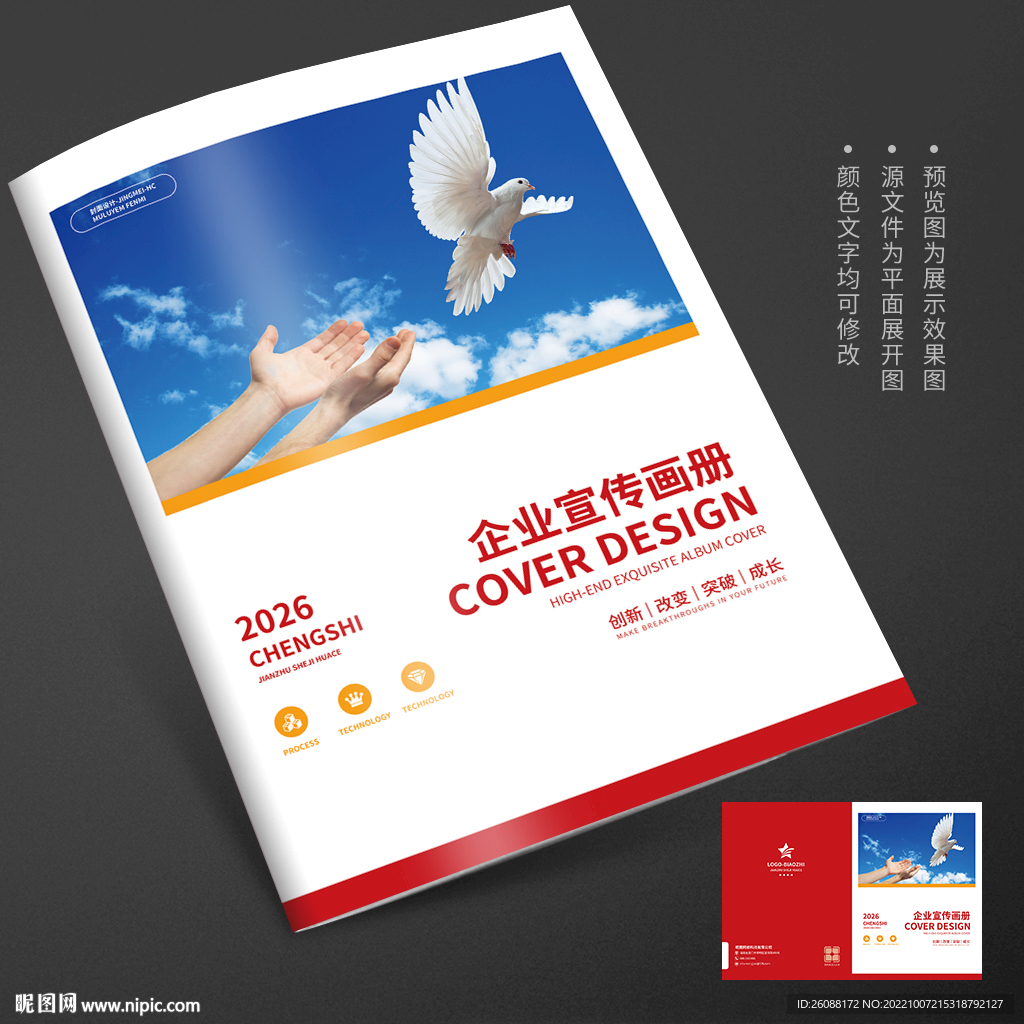 鸽子和平团结向上宣传册