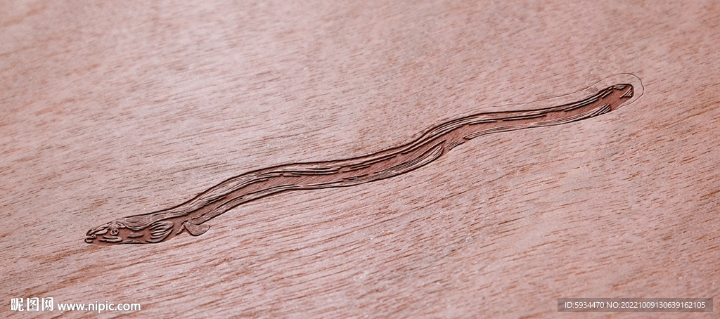 鳗鱼雕刻版画矢量图