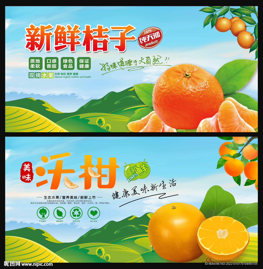 桔子橘子沃柑蜜桔