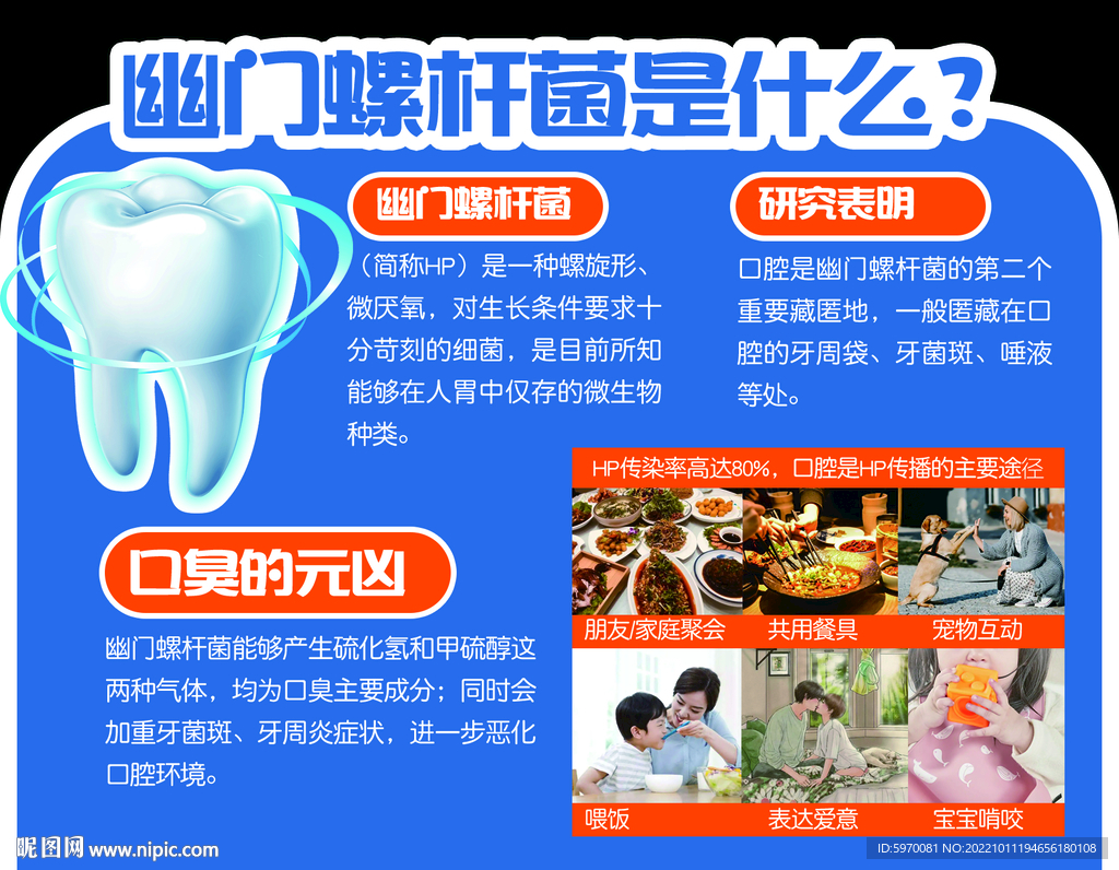 保护牙齿异形跺牌