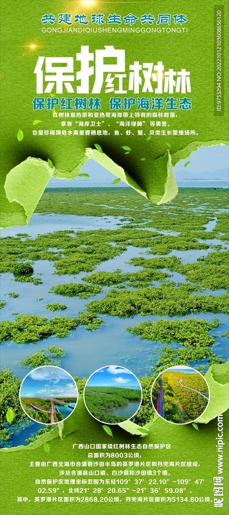 保护红树林海洋生态展架