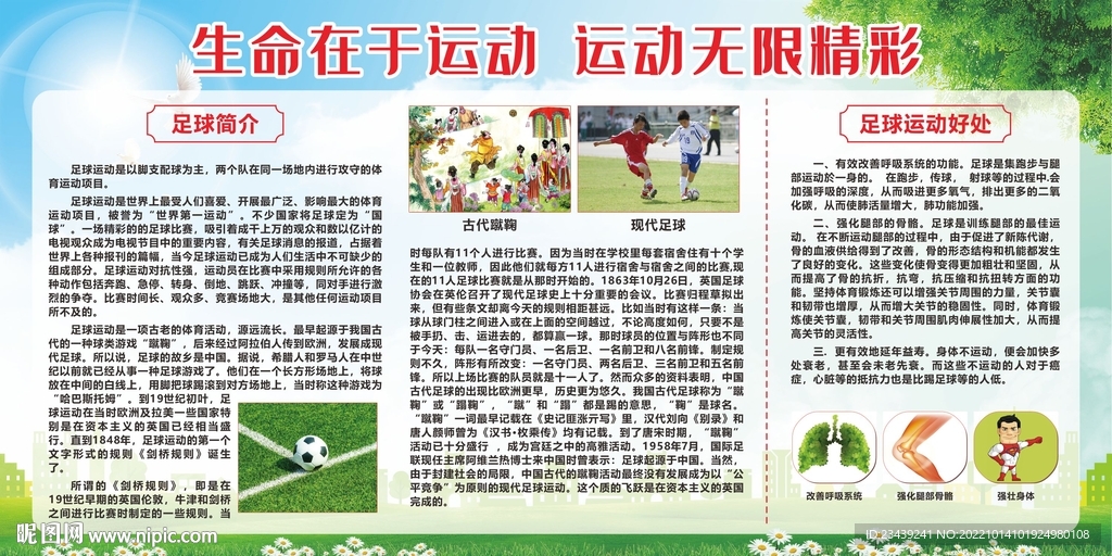 校园运动宣传专栏