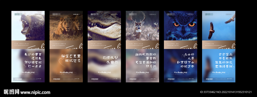 田园文旅小镇 动物主题提报主画