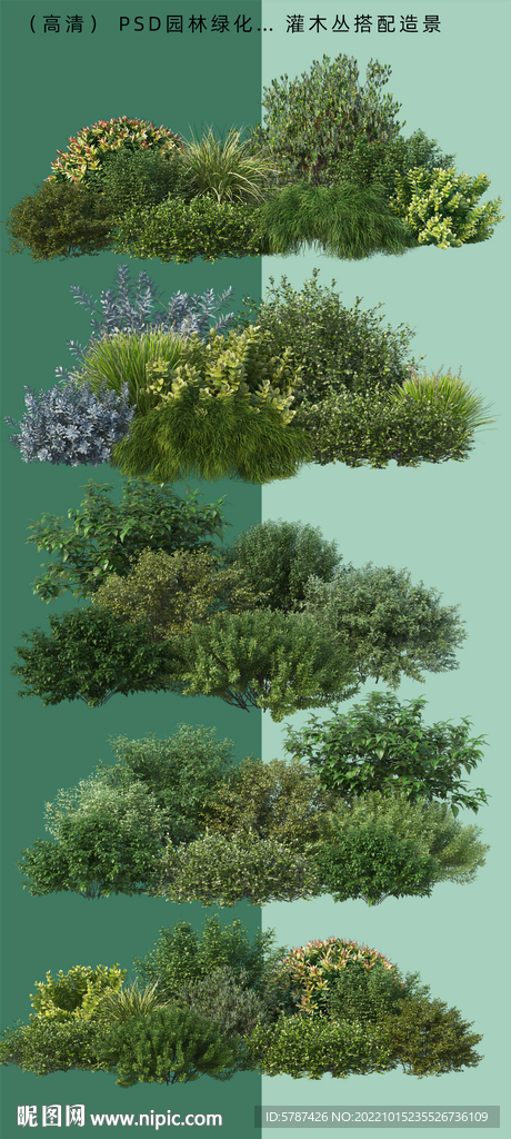 灌木丛搭配造景