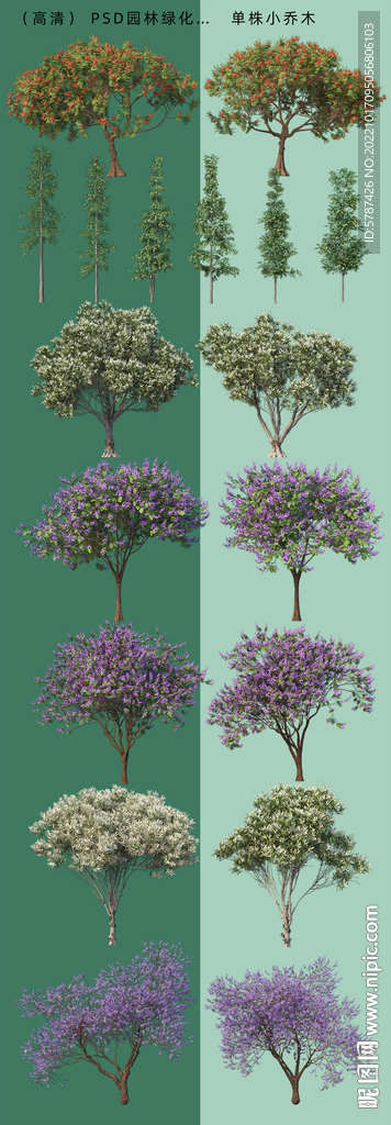 高清后期树木
