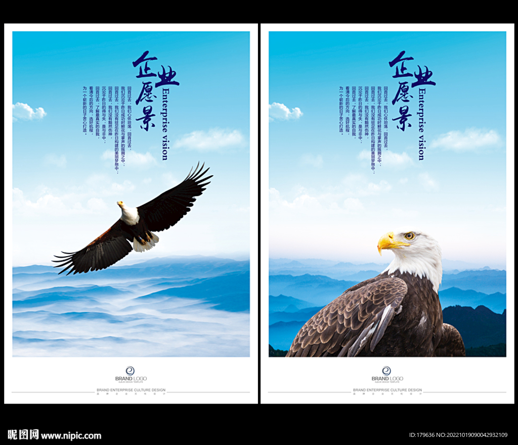 企业展望老鹰老雕神雕大侠