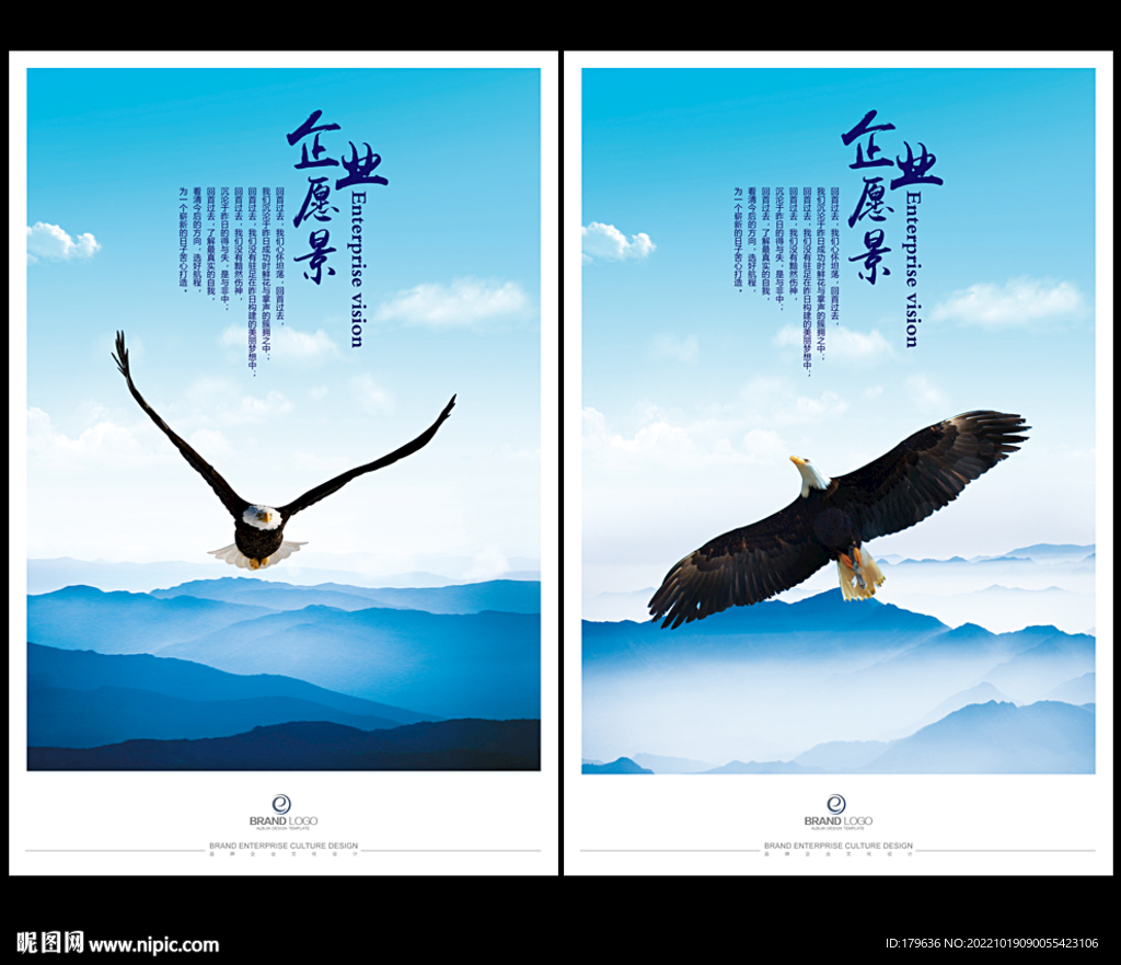 企业展望老鹰 白头海雕 美洲雕