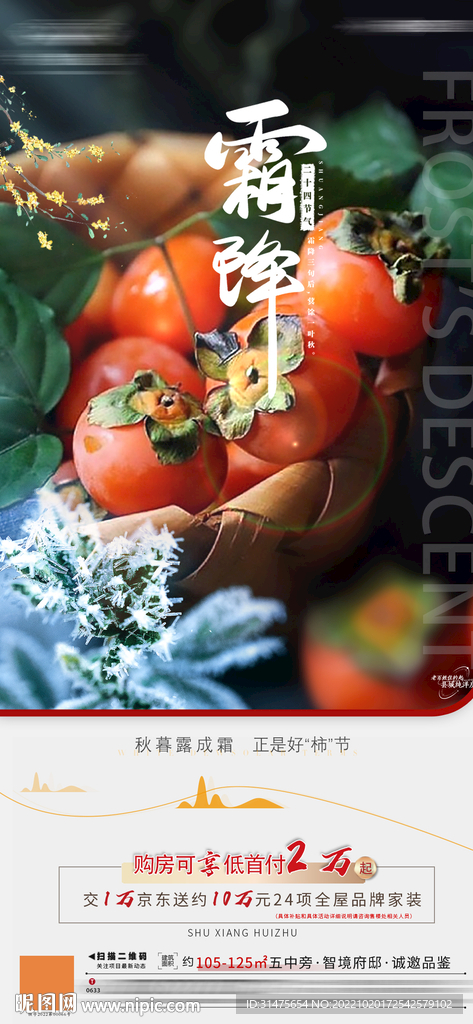 地产霜降单图柿子
