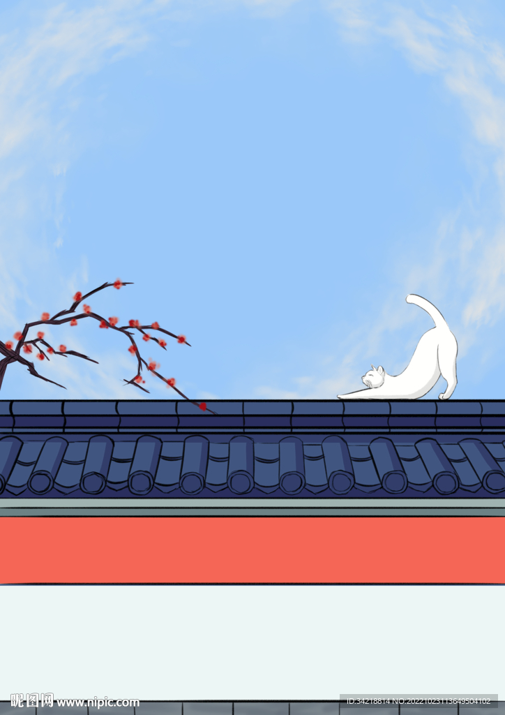 立冬院墙上的猫咪