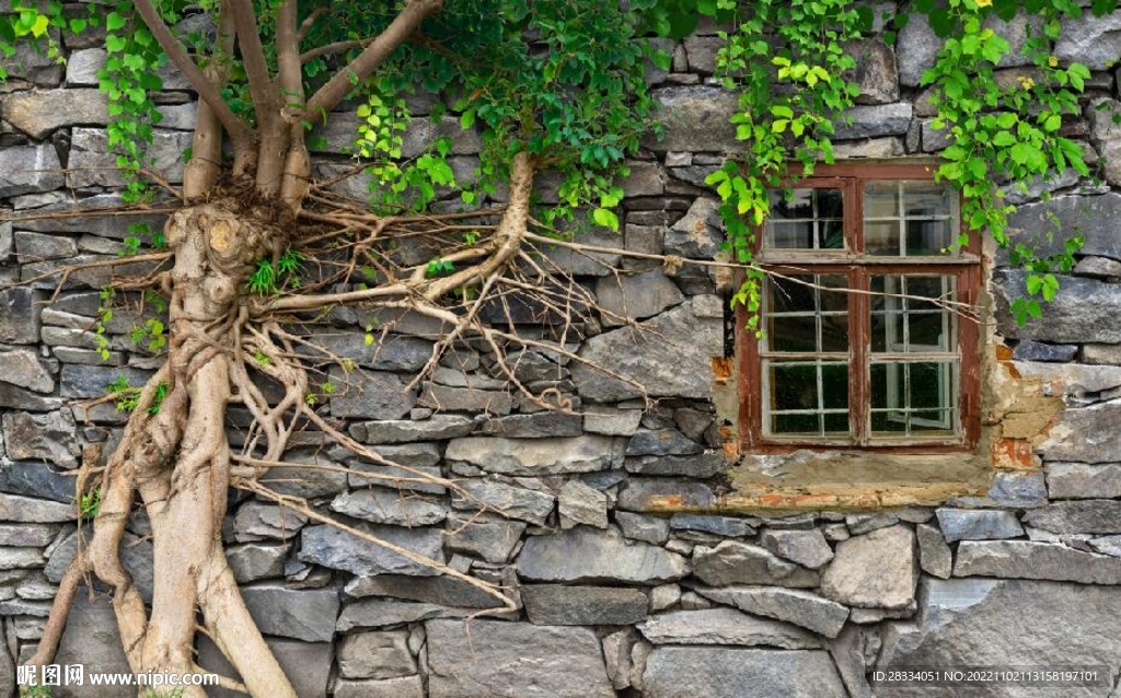3D复古树根树藤风景背景墙