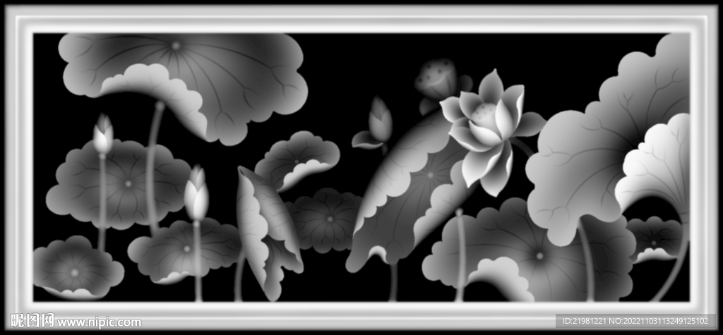 荷花灰度图图片