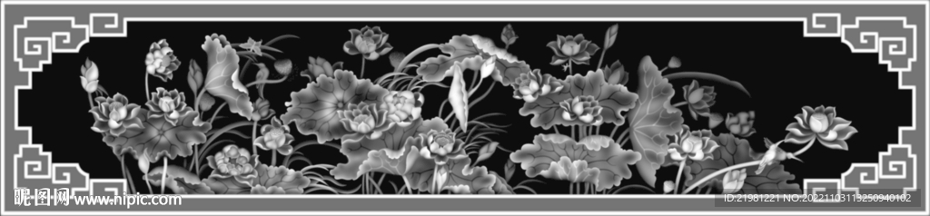 荷花灰度图图片