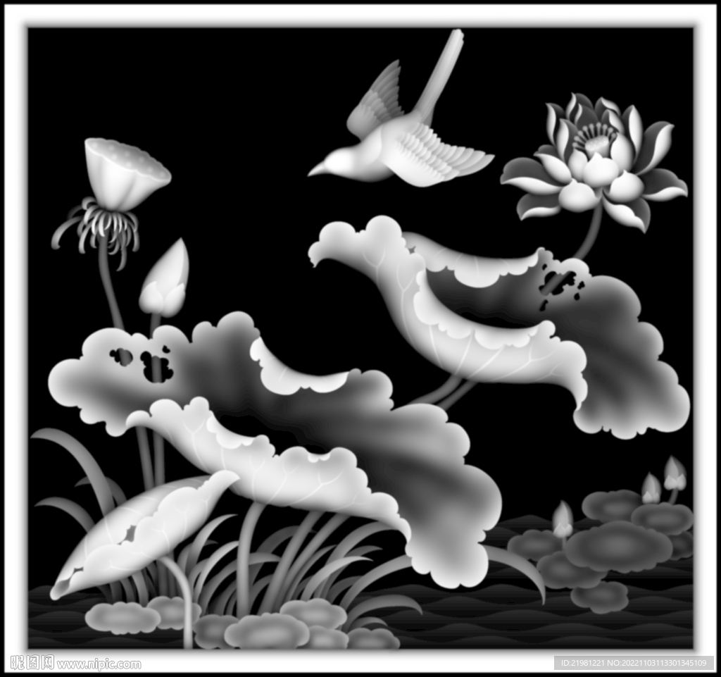 荷花灰度图图片