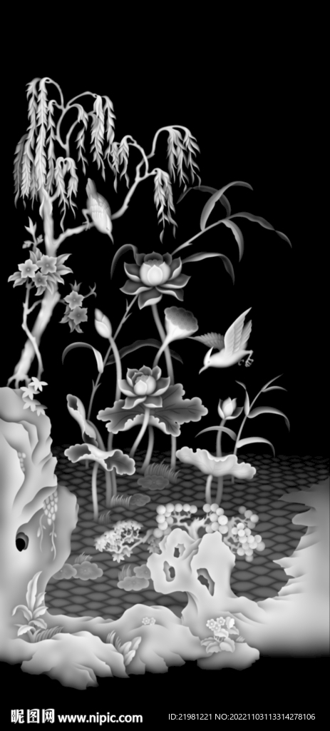 荷花灰度图图片