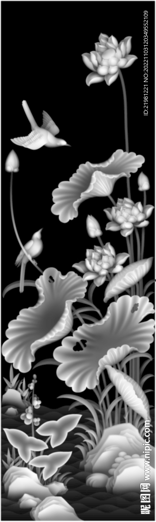 荷花灰度图图片