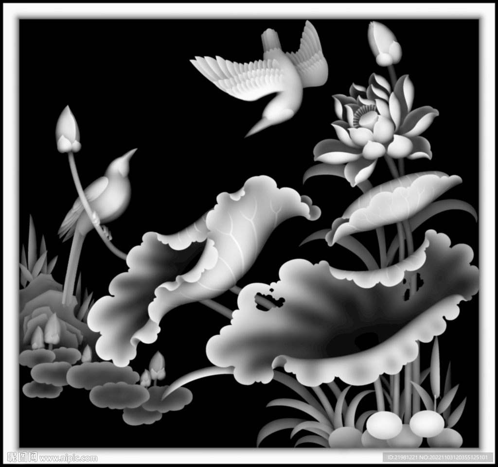 荷花灰度图图片