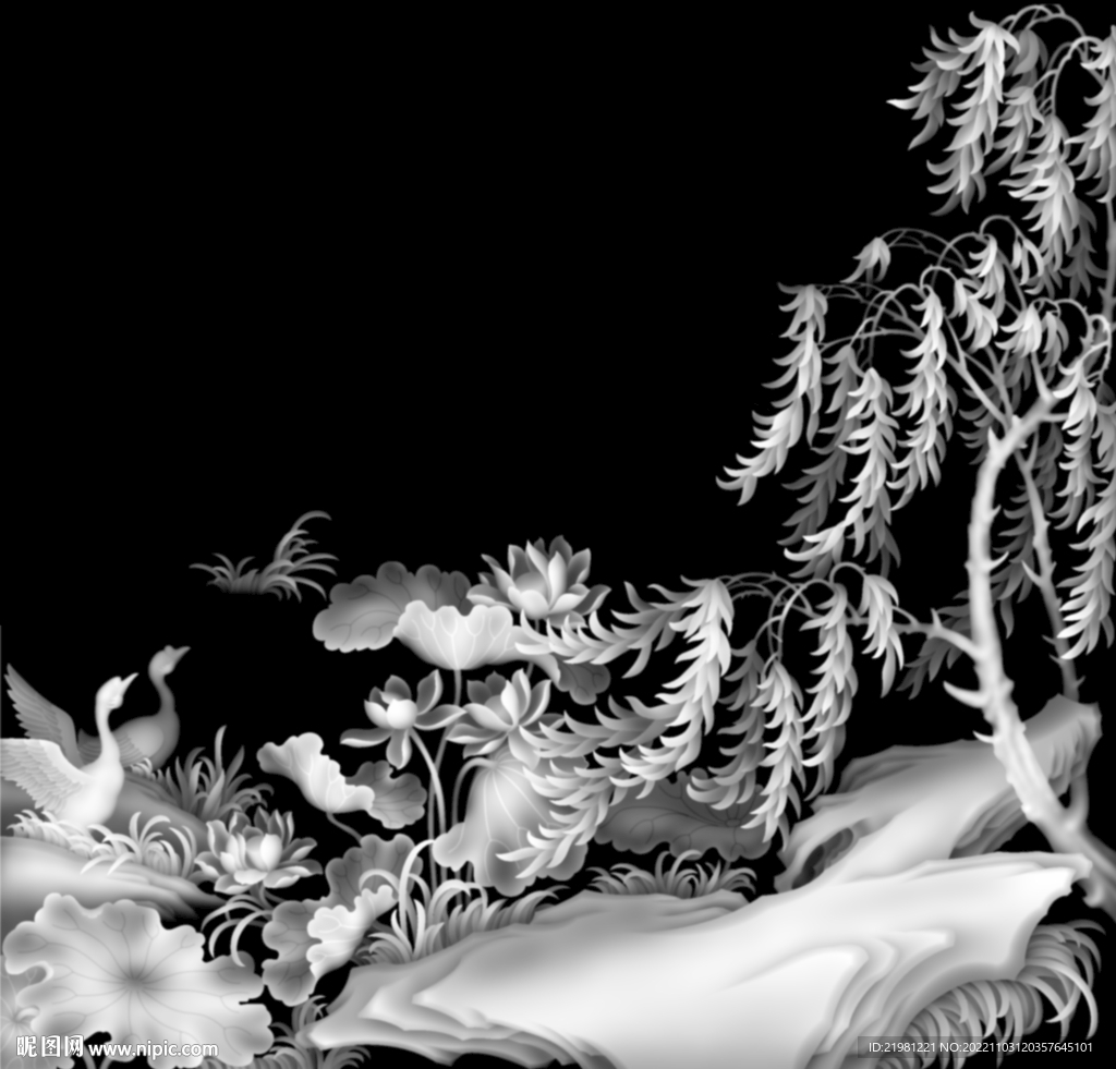 荷花灰度图图片