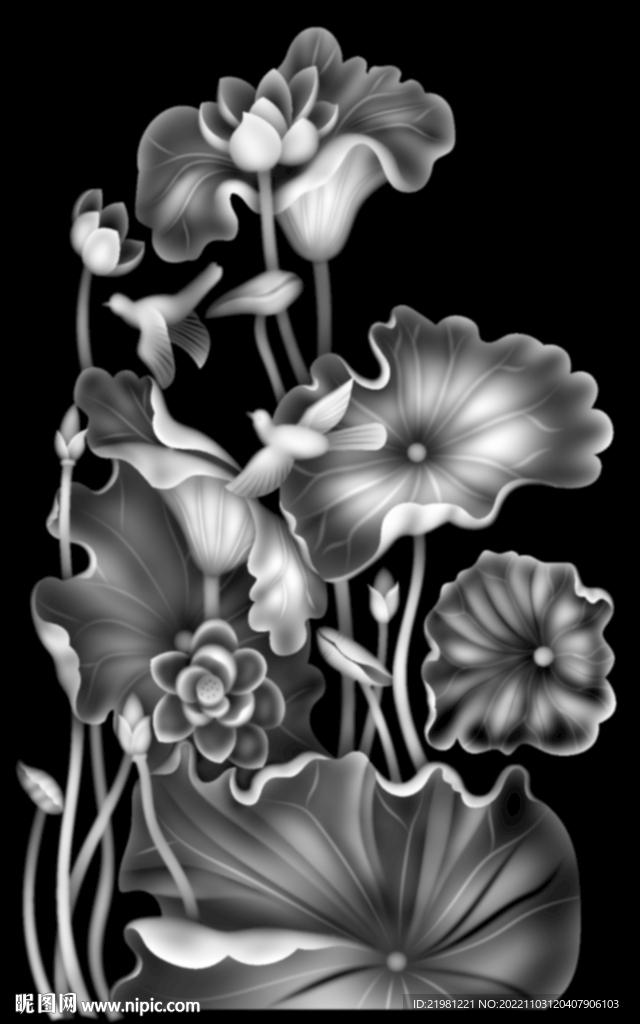 荷花灰度图图片