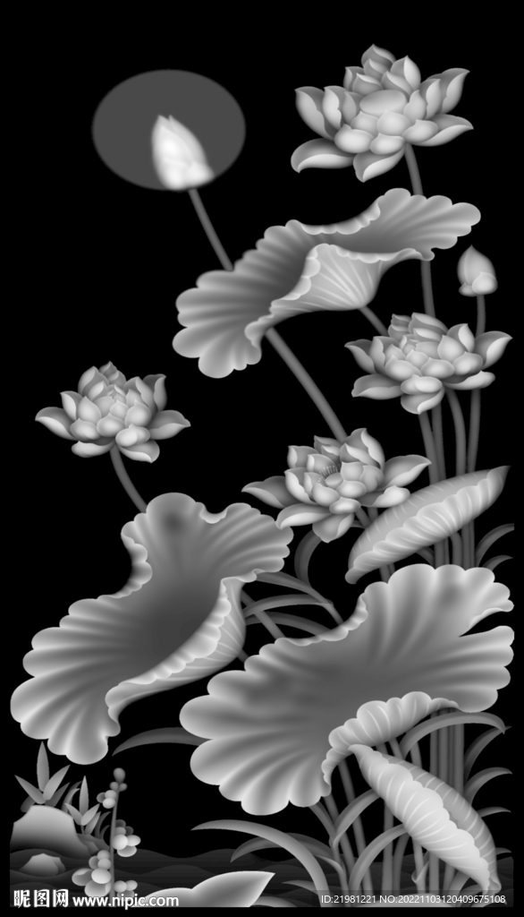 荷花灰度图图片