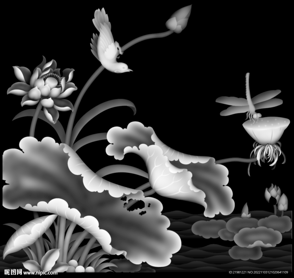 荷花灰度图图片