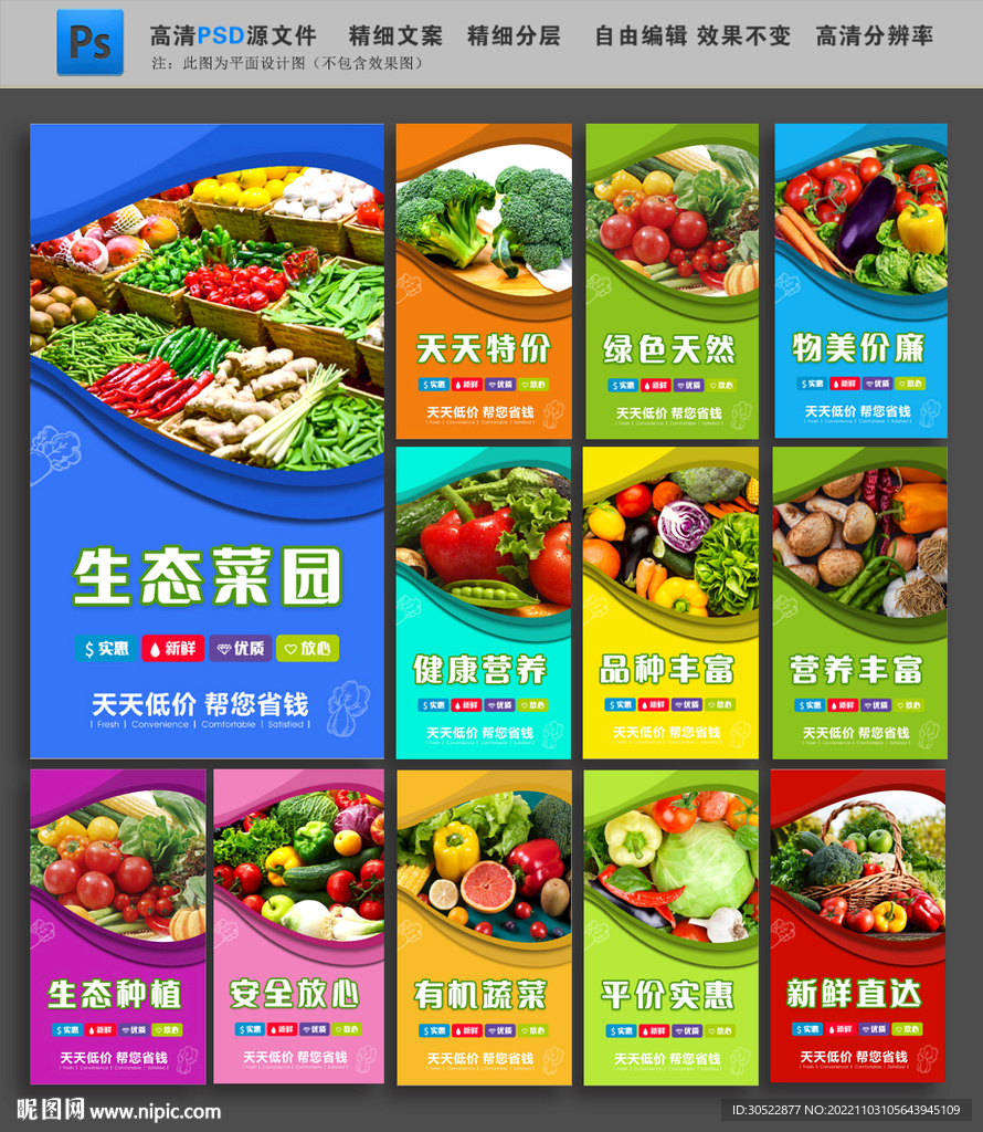 蔬菜海报挂画展板