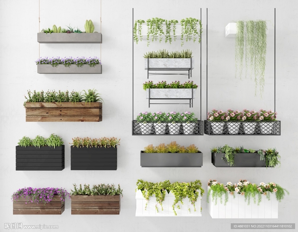 花卉多肉绿植3D模型