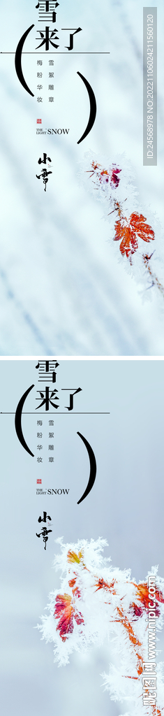 小雪节气海报 近景写实系