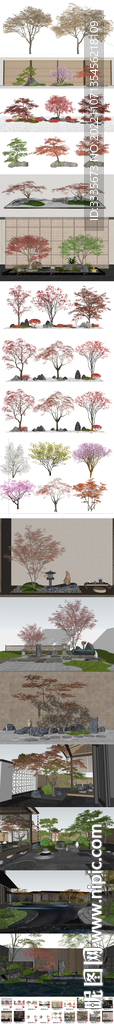 樱花枫树红枫园林造型树SU模型