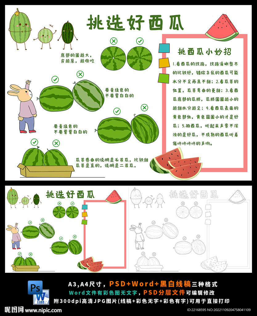 学会挑选好西瓜水果小报